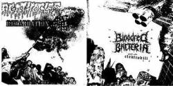 Agathocles : Retardation - Spiced with Elektrokill